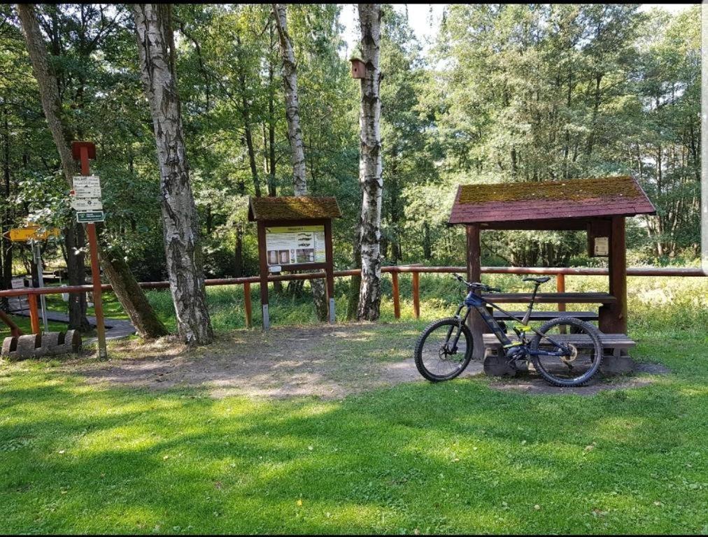 Landgasthof Gruener Baum Regnitzlosau المظهر الخارجي الصورة