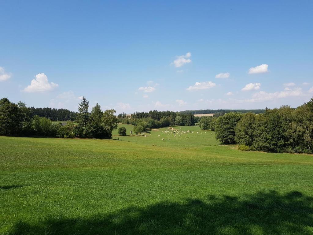 Landgasthof Gruener Baum Regnitzlosau المظهر الخارجي الصورة