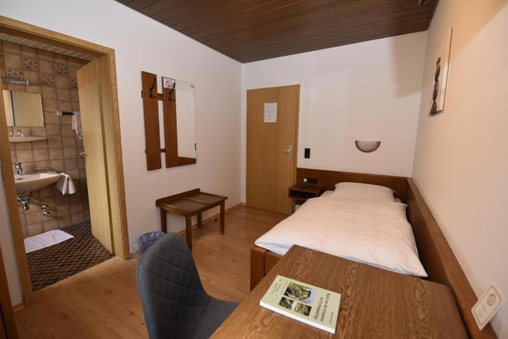 Landgasthof Gruener Baum Regnitzlosau المظهر الخارجي الصورة